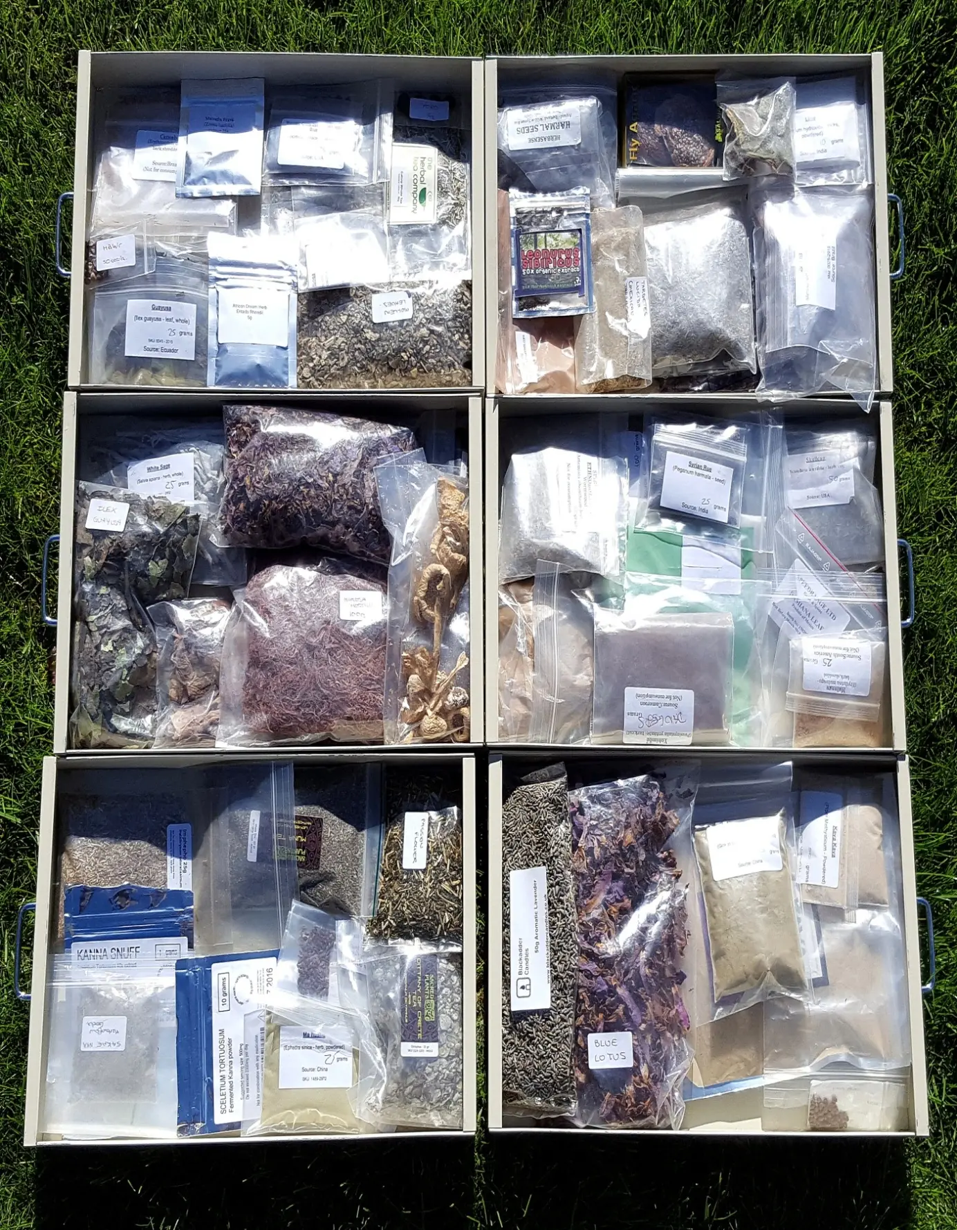 During the legal high years, almost any psychoactive botanical could belegally imported into the UK. A substantial number could be purchased online via the click of a mouse.