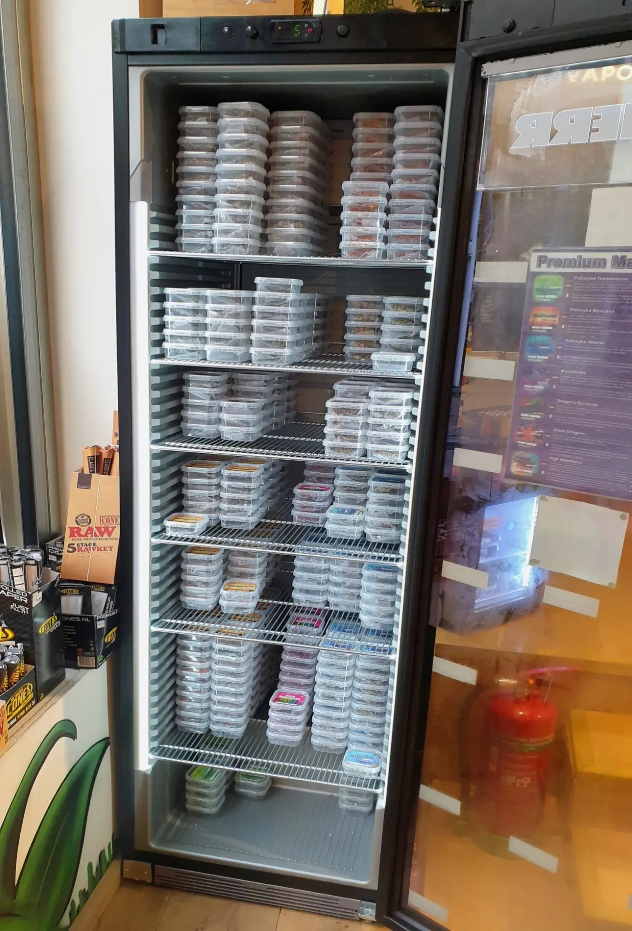 Magic truffles, as housed in The Headshop, Kloveniersburgwal, Amsterdam