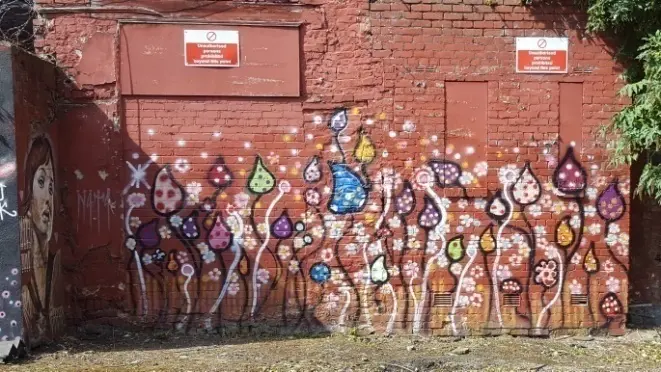 Manchester Mushrooms